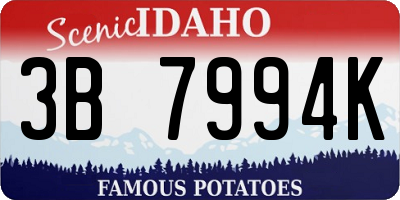 ID license plate 3B7994K