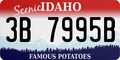 ID license plate 3B7995B