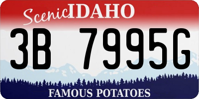 ID license plate 3B7995G