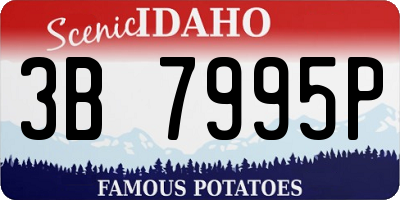 ID license plate 3B7995P