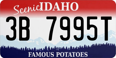 ID license plate 3B7995T
