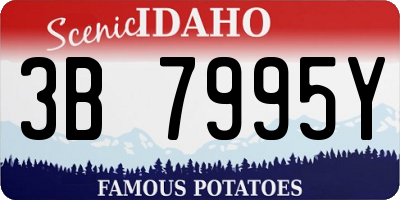 ID license plate 3B7995Y