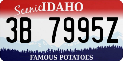 ID license plate 3B7995Z