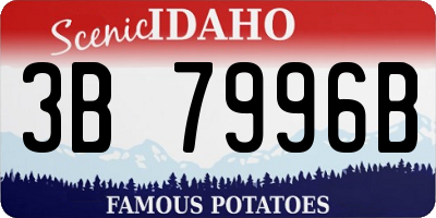 ID license plate 3B7996B