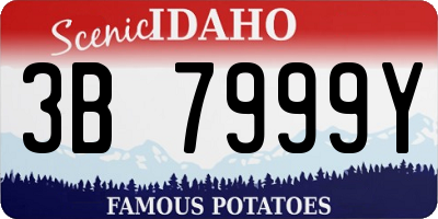 ID license plate 3B7999Y