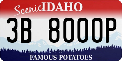 ID license plate 3B8000P