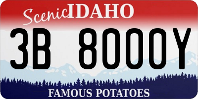 ID license plate 3B8000Y