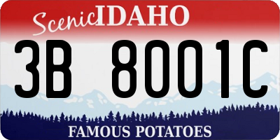 ID license plate 3B8001C