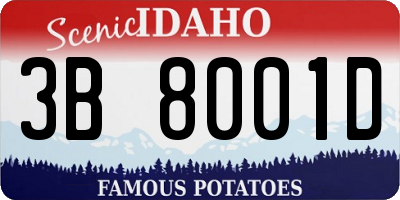 ID license plate 3B8001D