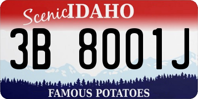 ID license plate 3B8001J