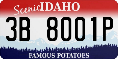 ID license plate 3B8001P