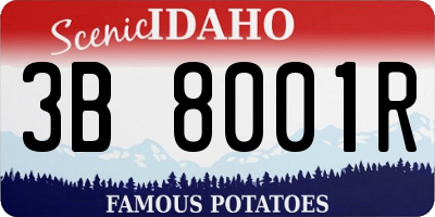 ID license plate 3B8001R