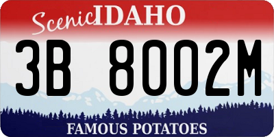 ID license plate 3B8002M