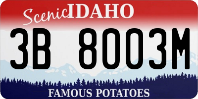 ID license plate 3B8003M