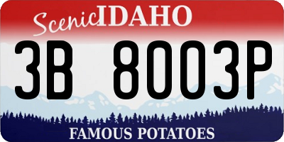 ID license plate 3B8003P