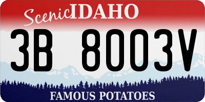 ID license plate 3B8003V