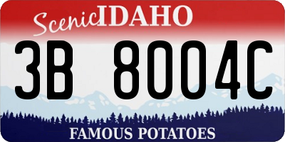 ID license plate 3B8004C
