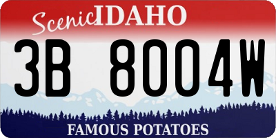 ID license plate 3B8004W