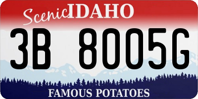 ID license plate 3B8005G