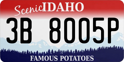 ID license plate 3B8005P