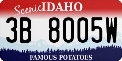 ID license plate 3B8005W