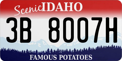 ID license plate 3B8007H