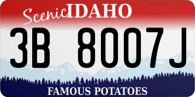 ID license plate 3B8007J