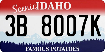ID license plate 3B8007K