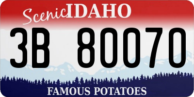 ID license plate 3B8007O