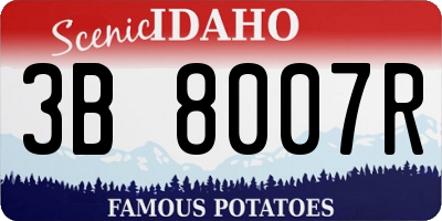 ID license plate 3B8007R