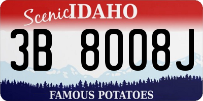 ID license plate 3B8008J