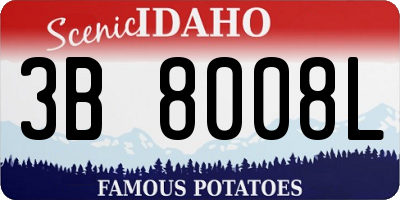 ID license plate 3B8008L