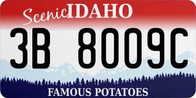 ID license plate 3B8009C