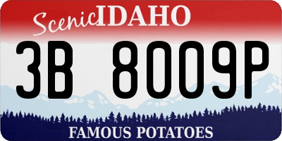 ID license plate 3B8009P