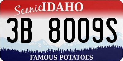 ID license plate 3B8009S
