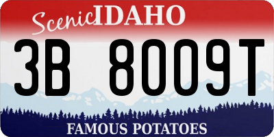 ID license plate 3B8009T