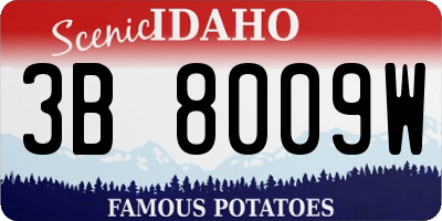 ID license plate 3B8009W