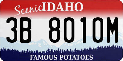 ID license plate 3B8010M