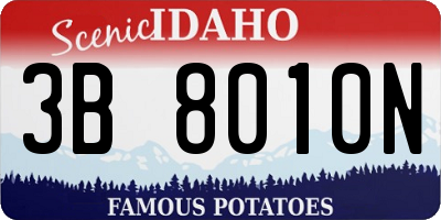 ID license plate 3B8010N