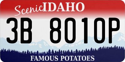 ID license plate 3B8010P