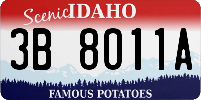 ID license plate 3B8011A