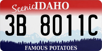 ID license plate 3B8011C