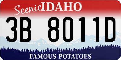 ID license plate 3B8011D
