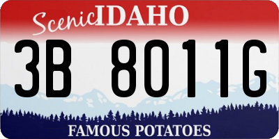 ID license plate 3B8011G