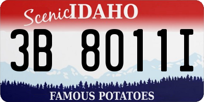 ID license plate 3B8011I