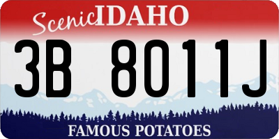ID license plate 3B8011J