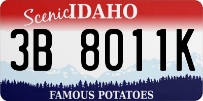 ID license plate 3B8011K