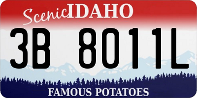 ID license plate 3B8011L
