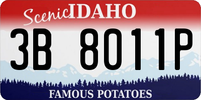 ID license plate 3B8011P