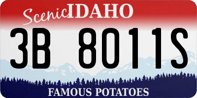 ID license plate 3B8011S